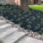 2 Great Tips for Sloped Landscapes with Runoff Problems